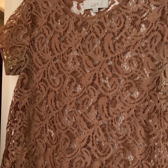 LOFT Short Sleeve Lace Top Size M - Picture 4 of 8